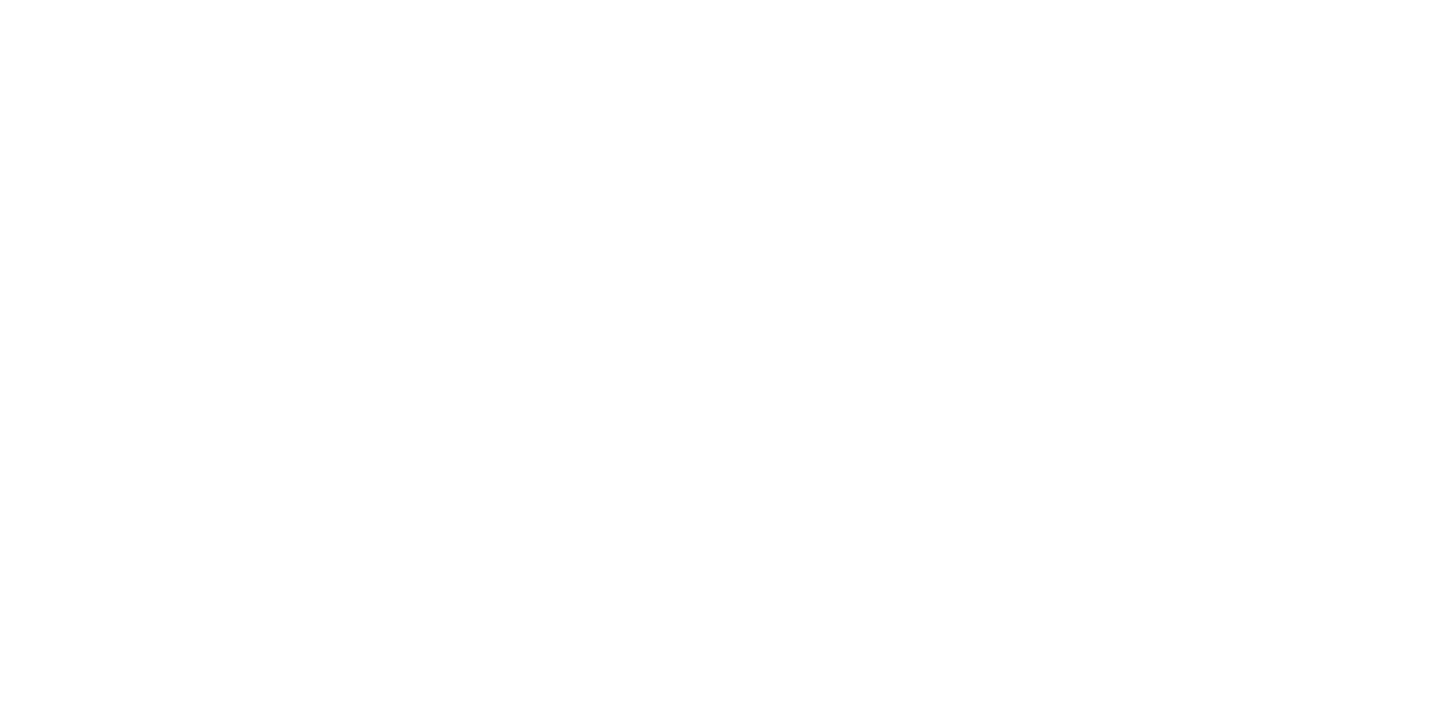 AIMstone-white-logo